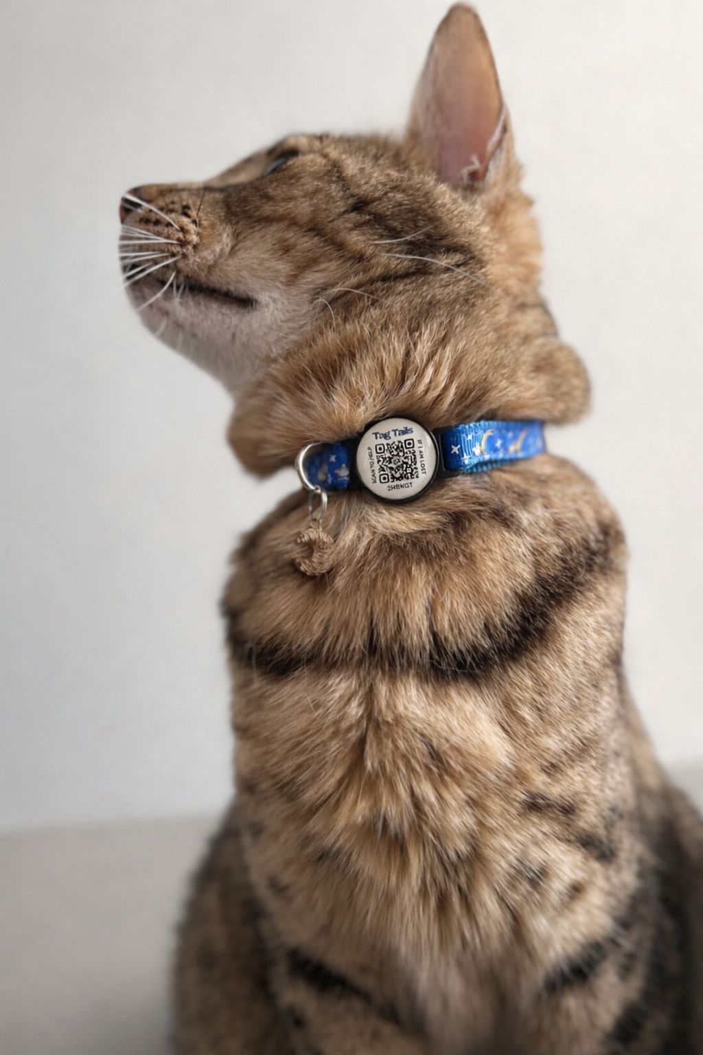 Luna Blå Reflex - ID Katthalsband med Inbyggd QR Kod