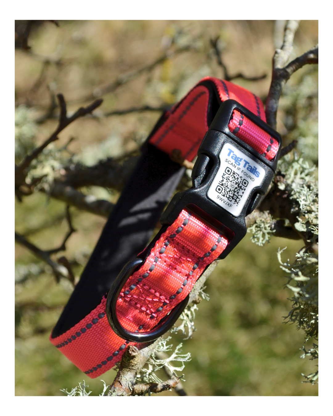 Smart ID Hundhalsband med Inbyggd QR - Rose Red