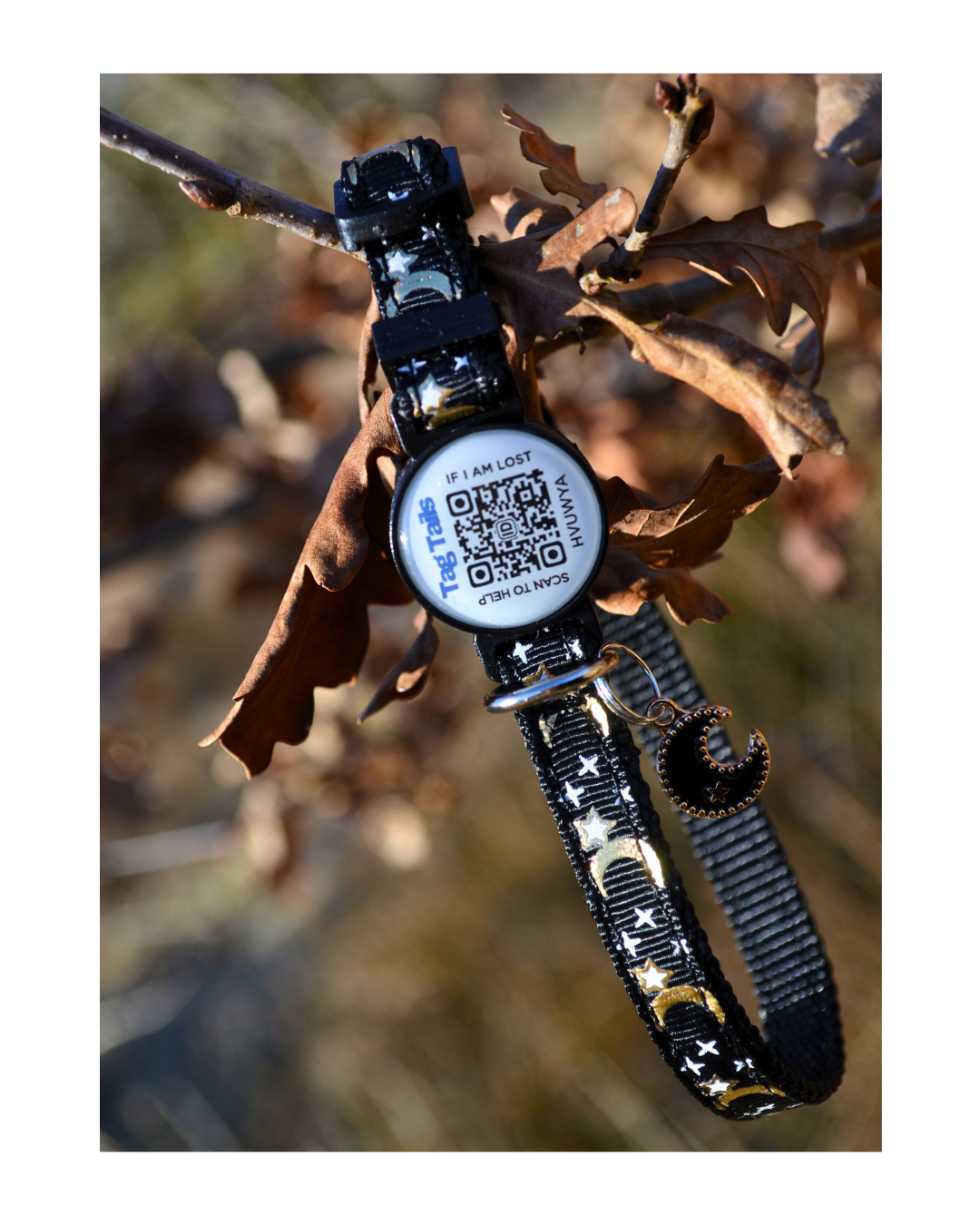 Luna Svart Reflex - Katt Halsband med Inbyggd QR