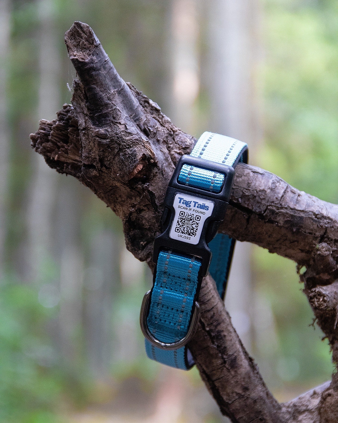 Smart ID Hundhalsband med Inbyggd QR - Blue