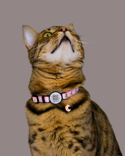 Luna Rosa Reflex - Katt Halsband med Inbyggd QR
