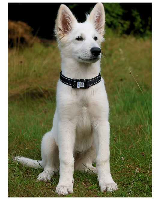 Smart ID Hundhalsband med Inbyggd QR - Black